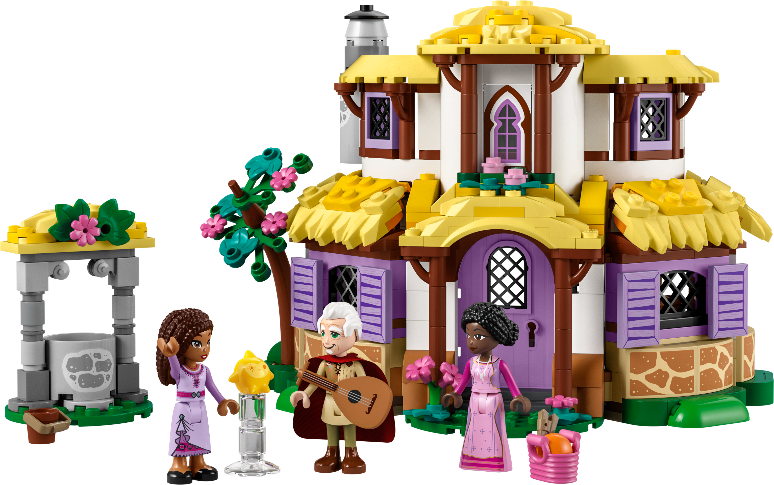 Picture of LEGO Disney Princess 43231  Asha’s Cottage