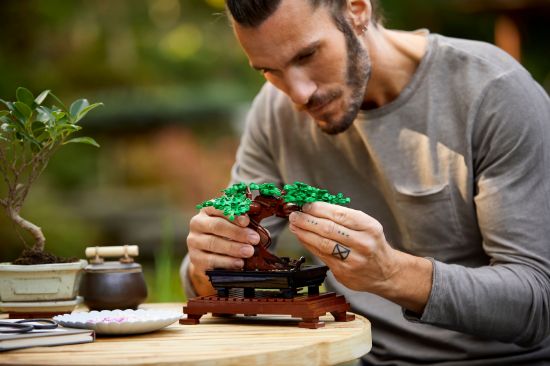 Picture of LEGO Icons 10281 Bonsai Tree