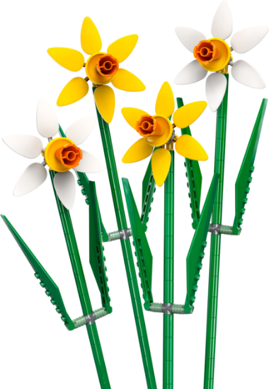 Picture of LEGO Flowers 40747 Daffodils Celebration Gift