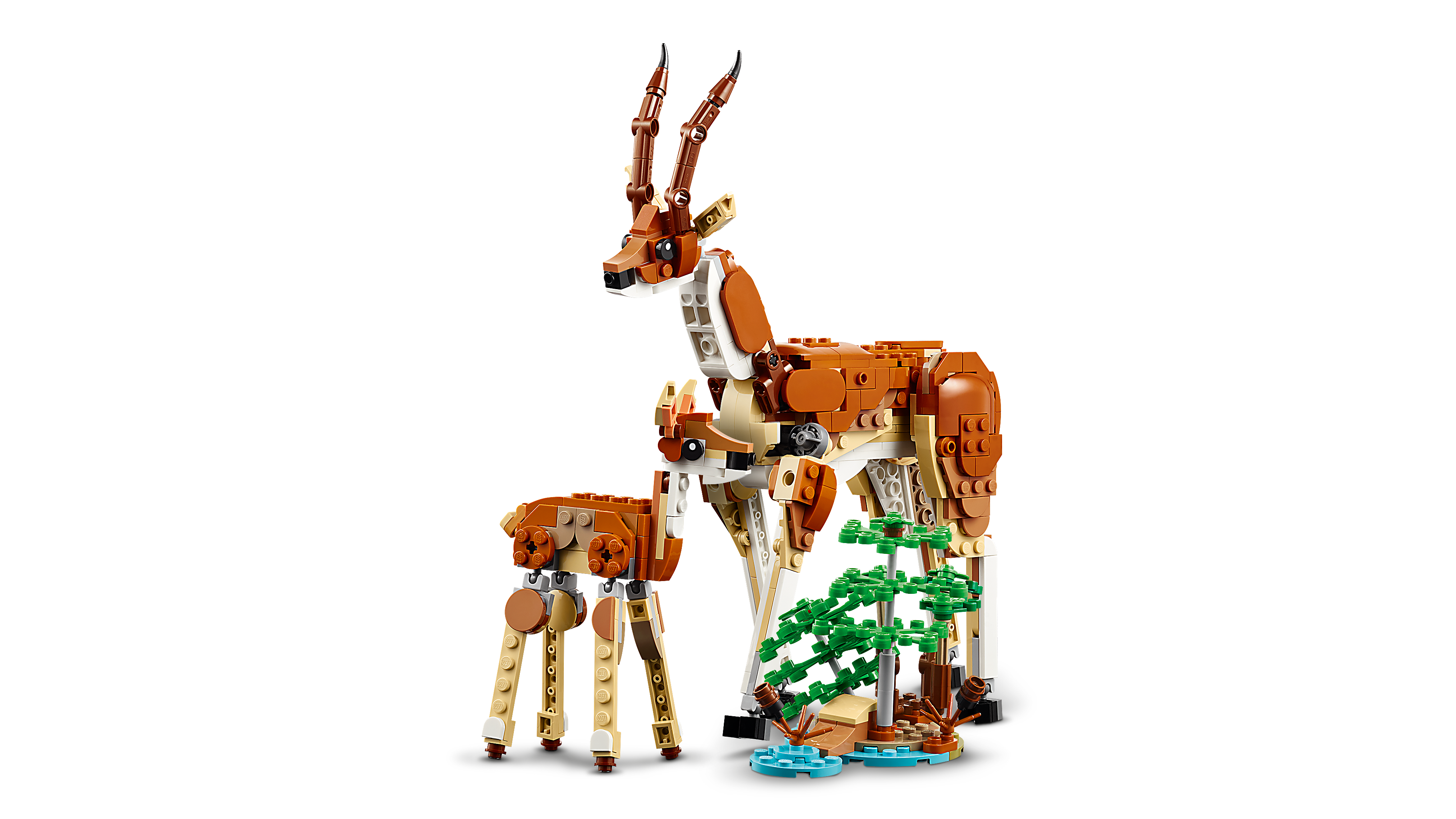 Picture of LEGO Creator 31150 Wild Safari Animals 3in1 Set