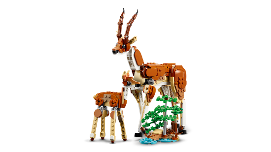 Picture of LEGO Creator 31150 Wild Safari Animals 3in1 Set