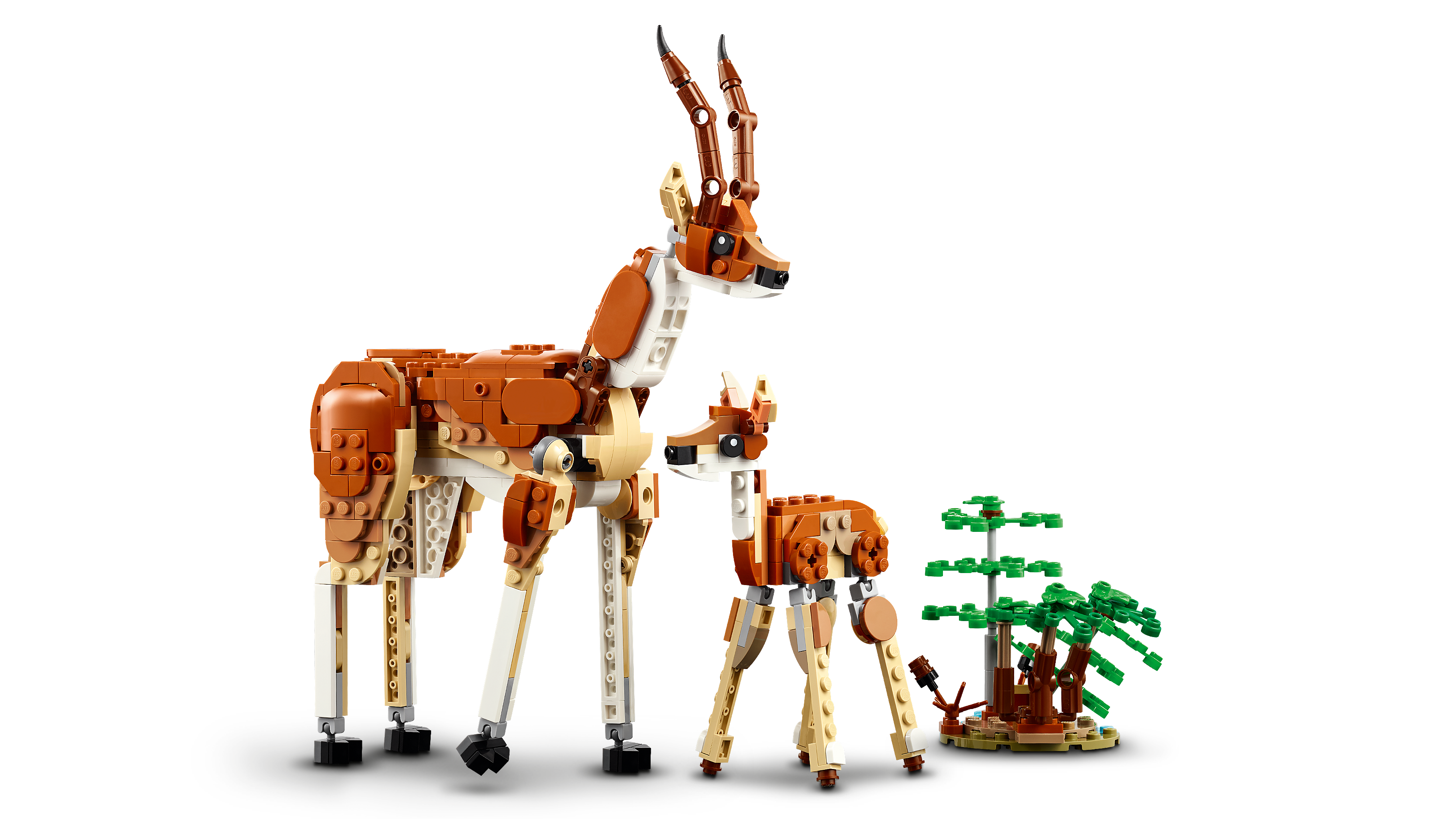 Picture of LEGO Creator 31150 Wild Safari Animals 3in1 Set