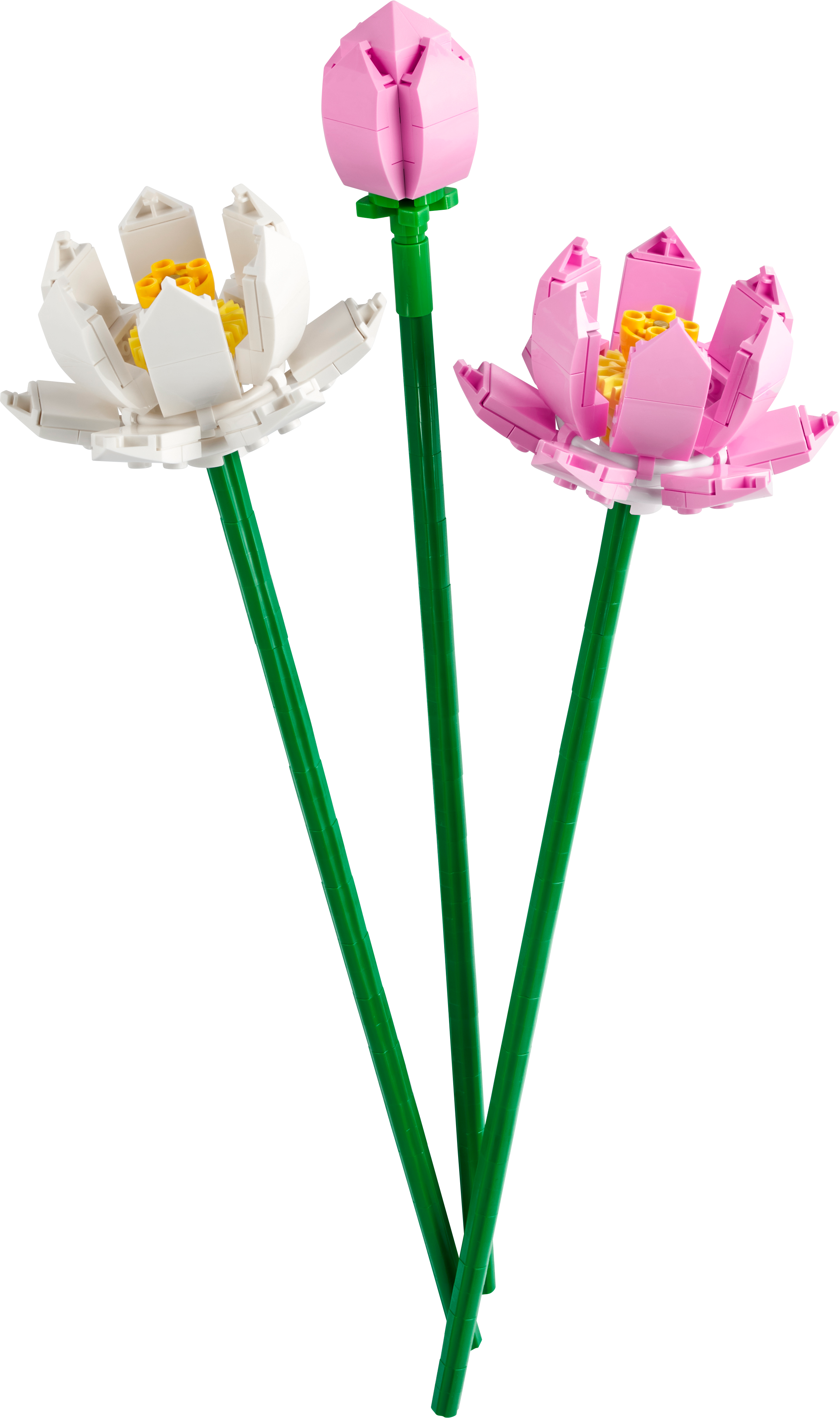 Picture of LEGO Flowers 40647 Lotus Flowers