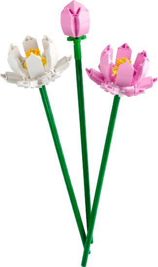 Picture of LEGO Flowers 40647 Lotus Flowers