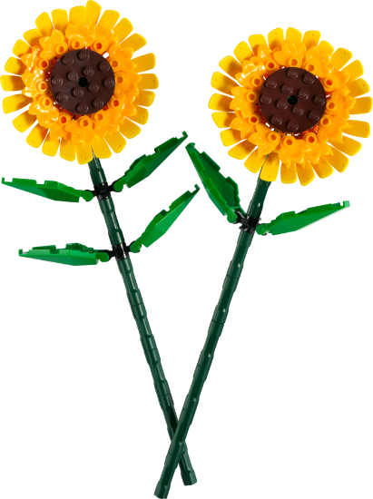 Picture of LEGO Flowers 40524 SUNFLOWERS