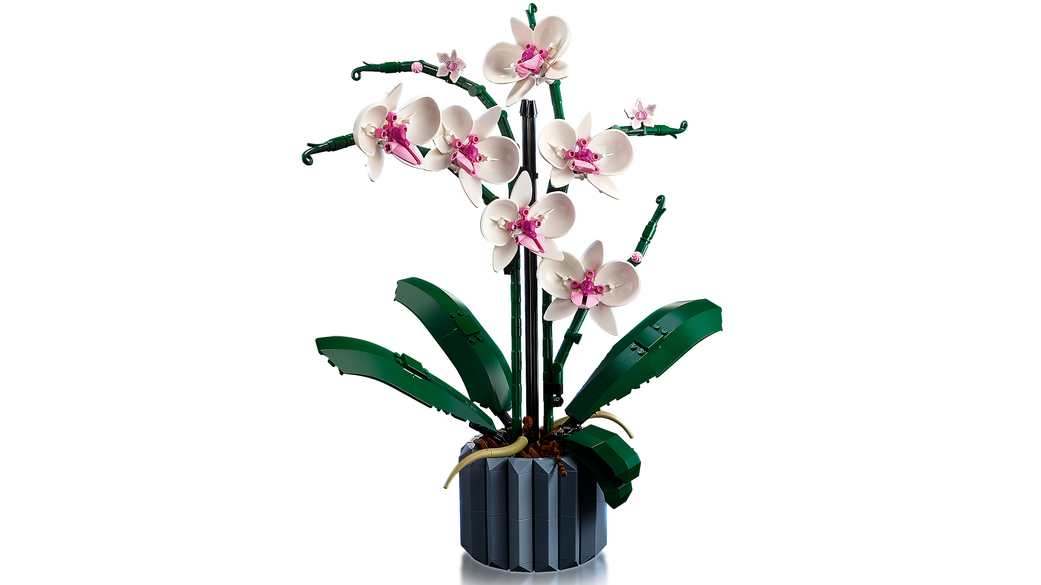 Picture of LEGO Icons 10311 Orchid