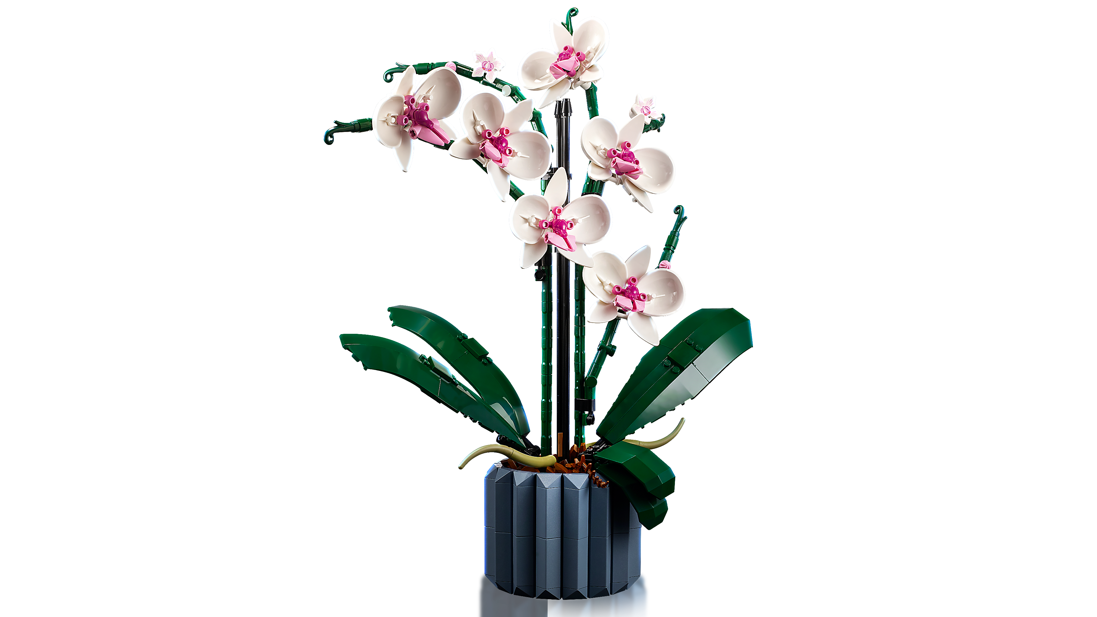 Picture of LEGO Icons 10311 Orchid