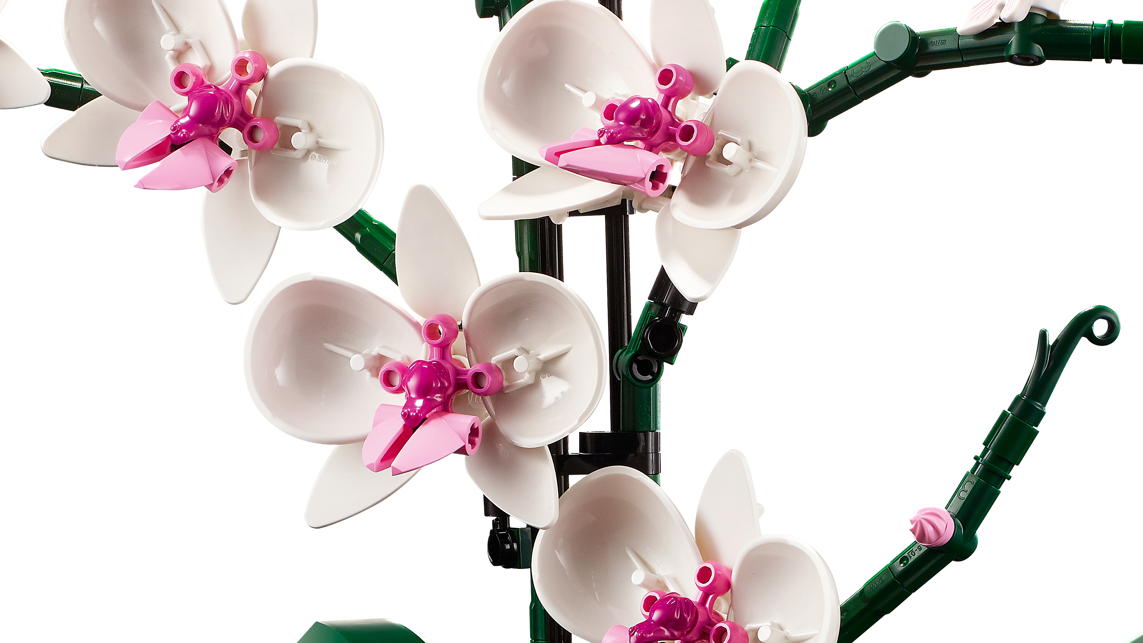 Picture of LEGO Icons 10311 Orchid