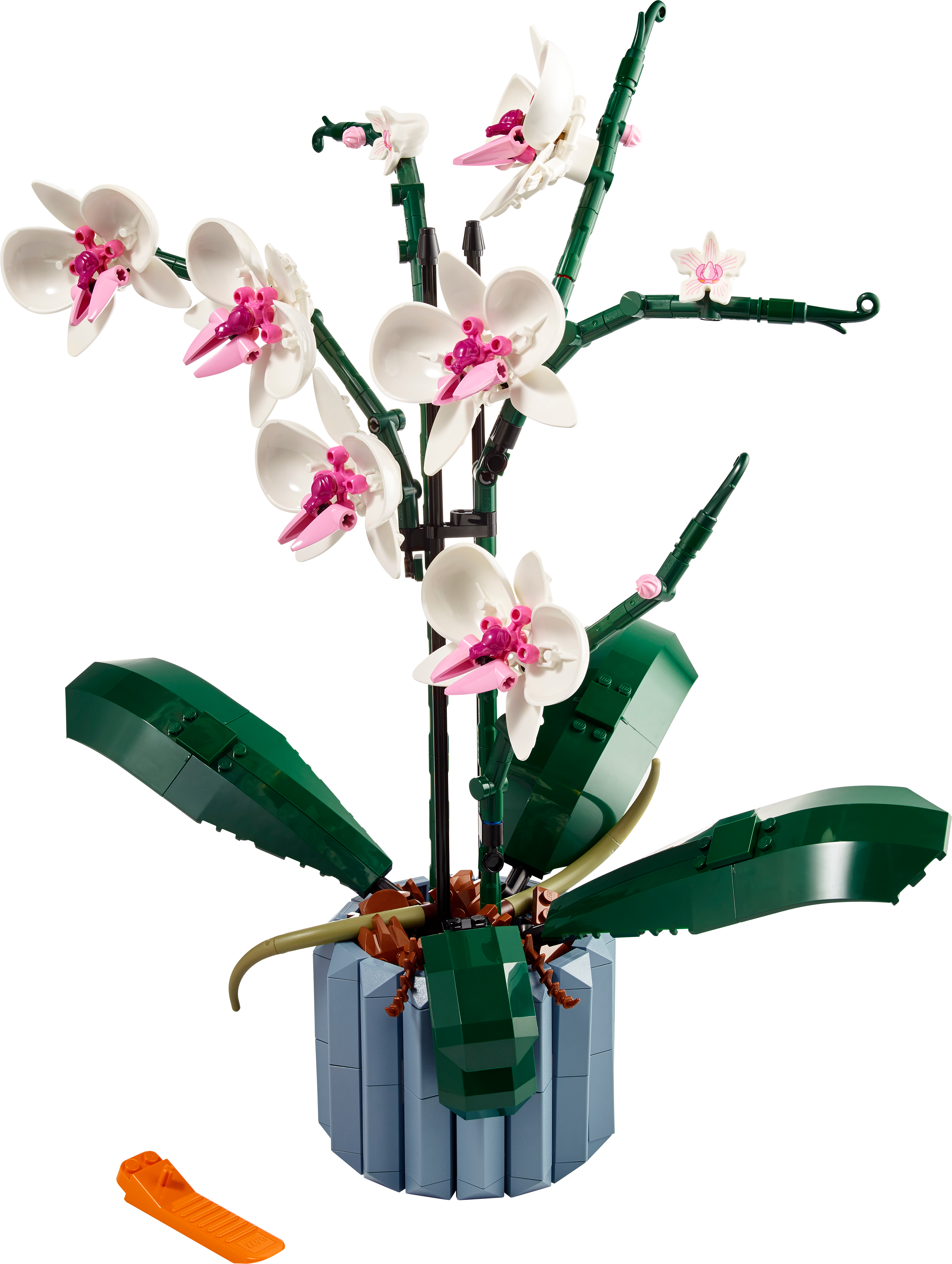 Picture of LEGO Icons 10311 Orchid