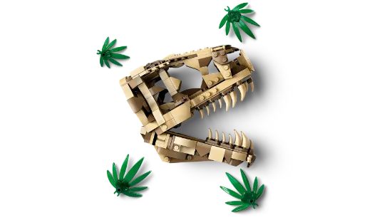 Picture of LEGO Jurassic World 76964 Dinosaur Fossils: T. rex Skull