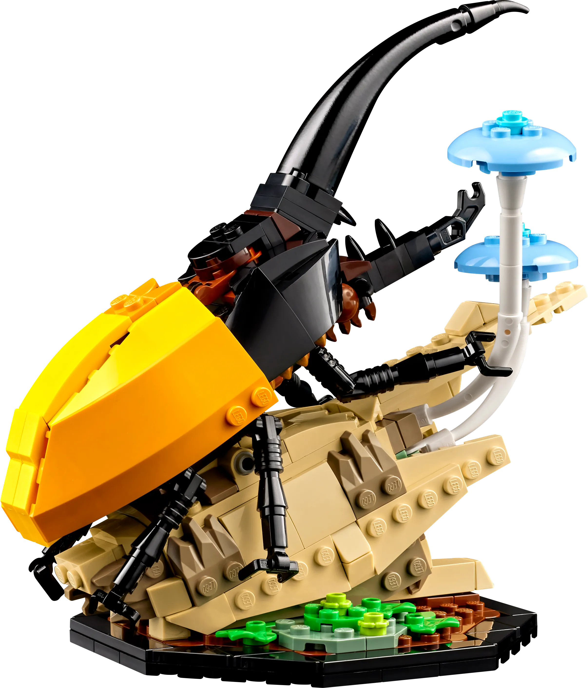 Picture of LEGO IDEAS 21342 The Insect Collection