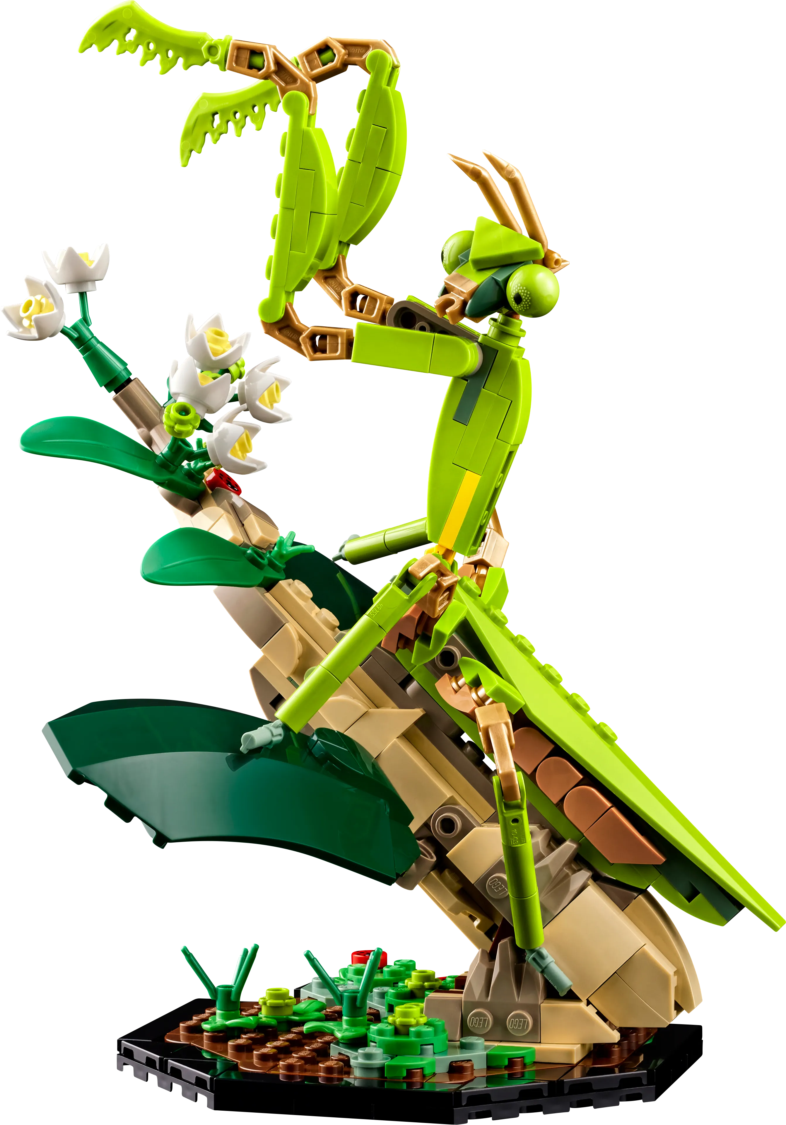 Picture of LEGO IDEAS 21342 The Insect Collection