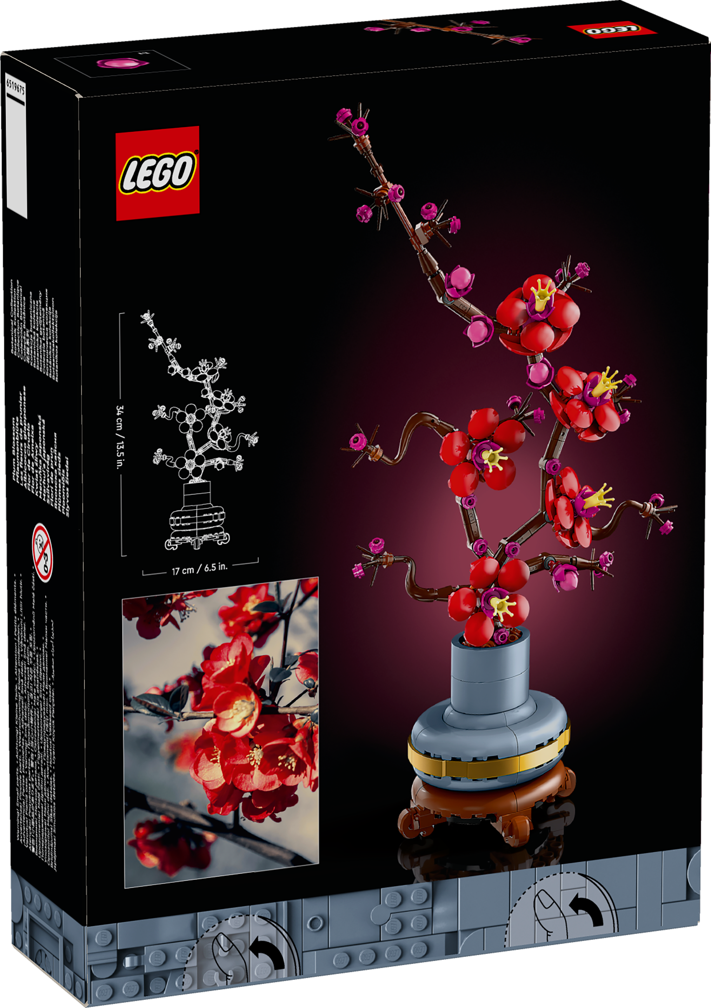 Picture of LEGO Icons 10369 Plum Blossom 