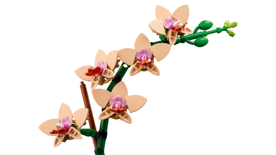 Picture of LEGO Botanicals 10343 Mini Orchid